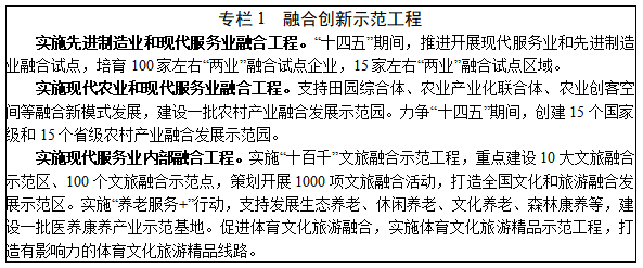 深化信息系統集成服務，賦能“十四五”服務業高質量發展