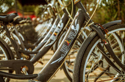 藏嘉Linda向你講述鳳凰牌自行車(chē)的故事